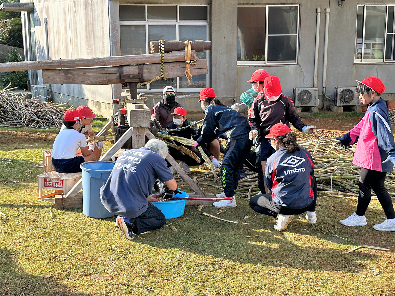 黒砂糖づくり