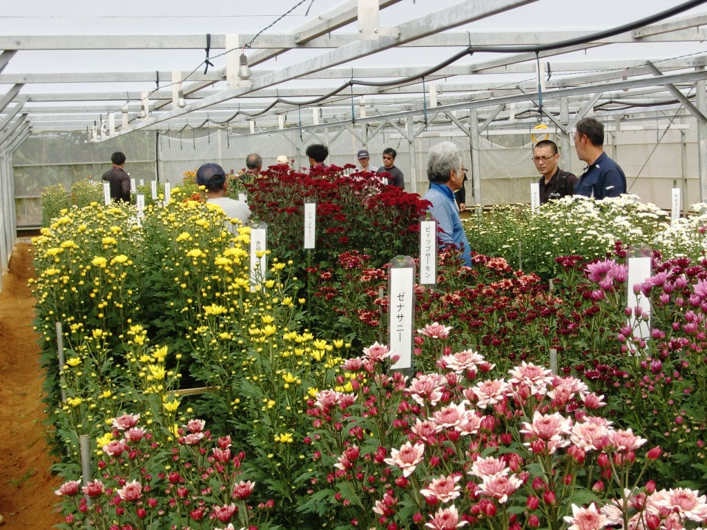 花き検討会