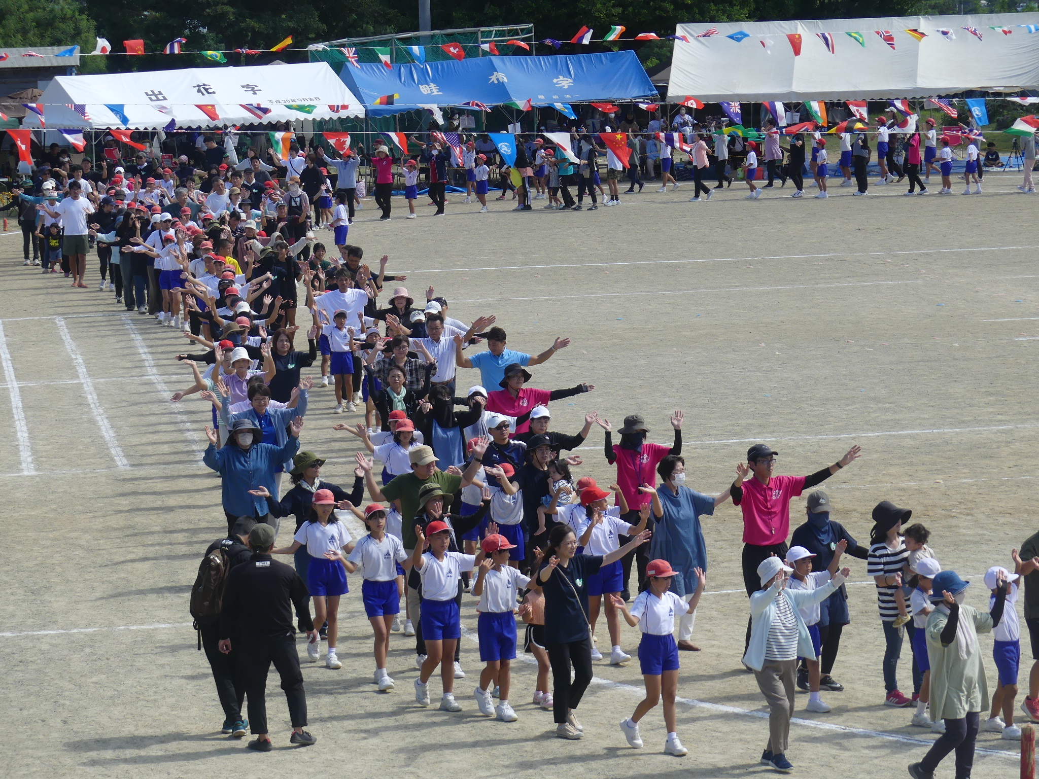 えらぶゆりの花