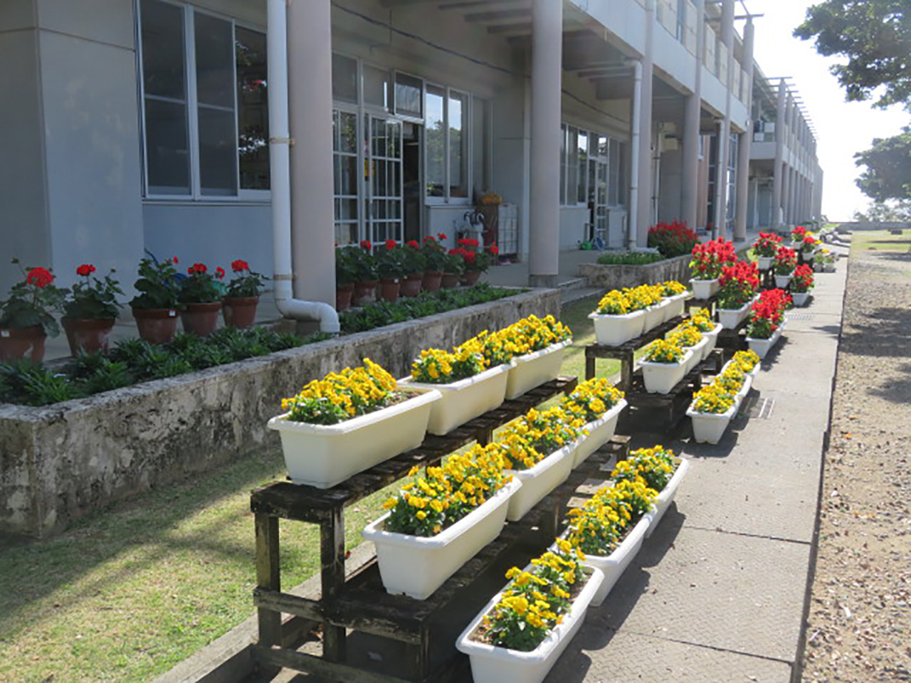 花が溢れる学校