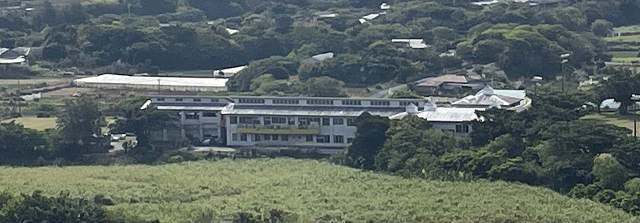 世之主神社から見る城ケ丘中学校